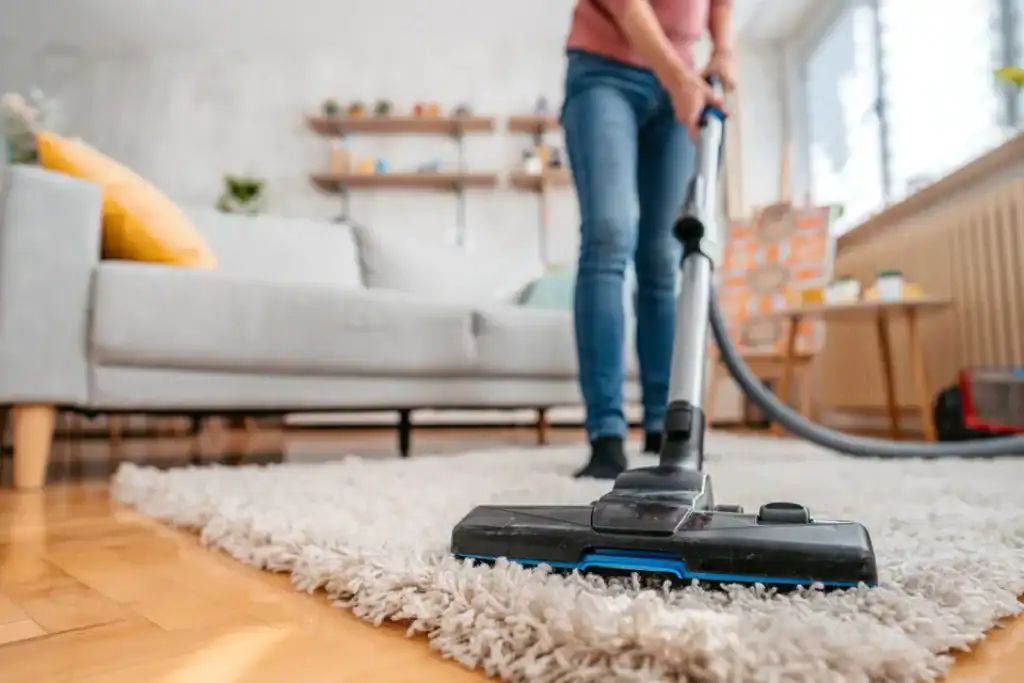 Melhores Aspiradores de Pó e Água para Comprar em 2025