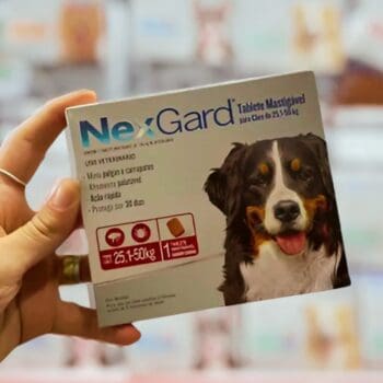 Antipulgas E Carrapato Nexgard 25,1 A 50kg 1 Comprimido