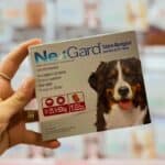 Antipulgas E Carrapato Nexgard 25,1 A 50kg 1 Comprimido