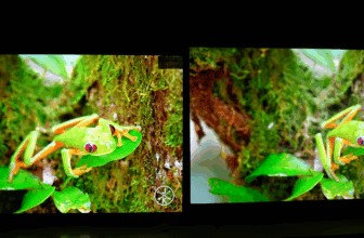 Comparativo Mini LED: TCL C6K ou LG QNED85? Qual Entrega a Melhor Imagem em 2025?