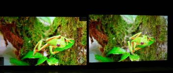 Comparativo Mini LED: TCL C6K ou LG QNED85? Qual Entrega a Melhor Imagem em 2025?