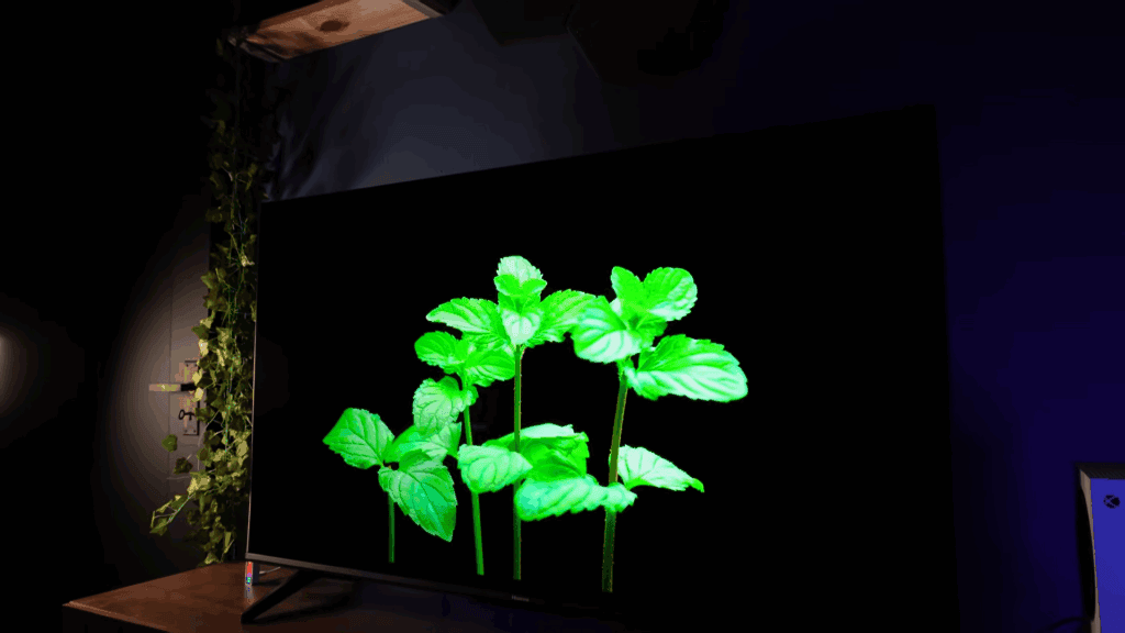 TV Hisense Q6Q 2025: vale a pena a nova QLED baratinha com VIDAA? TV Hisense Q6Q 2025: vale a pena a nova QLED baratinha com VIDAA?