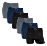 Kit Com 6 Cuecas Boxer Microfibra Sem Costura Rafa Parize Rp