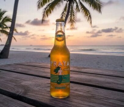 Cerveja Praya Puro Malte Long Neck 330ml – 6 unidades