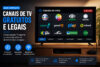 Canais Grátis na Smart TV em 2026: Tudo o Que Você Pode Assistir Sem Pagar Nada
