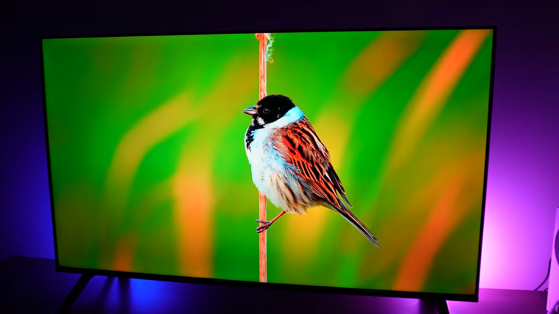 hq qled 50 vale a pena review completo da tv 4k mais barata com qled em 2026 HQ QLED 50" vale a pena? Review completo da TV 4K mais barata com QLED em 2026
