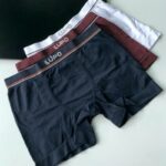 Kit 6 Cuecas Boxer Lupo Microfibra Sem Costura Box Masculina