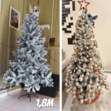 Árvore De Natal Cor Nevada 1,8m 1000 Galhos Premium Pinheiro