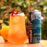 Bebida Energética Red Bull The Summer Edition – Figo e Maçã 250ml
