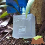 Blue Melody Paris Elysees Edt- Perfume Feminino 100ml