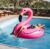 Boia Flamingo Inflável Adulto Até 70kg Piscina Praia Festa Cor Rosa