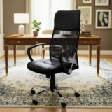 Cadeira De Escritório Presidente Dylan Travel Max Preta