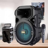 Caixa De Som Portátil Amplificada Bluetooth Karaokê Usb Mic