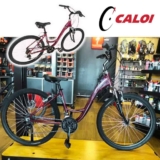 Caloi Bicicleta Ceci, Aro 26, Tamanho 17, Câmbio Shimano 21 Velocidades, Vinho