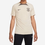 Camiseta Nike Corinthians Treino 2024 Academy Pro Masculina