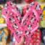 Chinelo Havaianas Top Disney