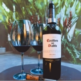 Concha y Toro Casillero Del Diablo Malbec 750ml