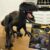Dinossauro Indoraptor Jurassic World, Mimo Brinquedos, Preto