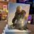 Halo Infinite [Steelbook] – Exclusivo Amazon
