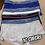 Kit Com 10 Cuecas Sunga Adulto Algodão Lupo