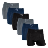 Kit Com 6 Cuecas Boxer Microfibra Sem Costura Rafa Parize Rp