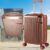 Mala de Bordo Cosmopolita Yins Brasil YS21160RO com Rodas Duplas Giro 360° em ABS 20 – Rose