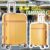 Mala de Viagem Grande Athena 30kg Rígida ABS com 4 Rodas duplas 360º e Trava de segredo númerico TSA, divisória interna com zíper e elástico de fixação, Amarelo, Santino – ABGV182G20