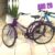 Bicicleta Urbana Ultra Bikes Summer Tropical Aro 26 Freios