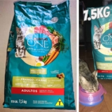 Purina One Nestlé® Purina® One® Ração Seca Para Gatos Adultos Todas As Raças Frango E Carne 7 5Kg
