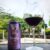 Vinho Tinto em Lata Vivant Wines, 269 ml